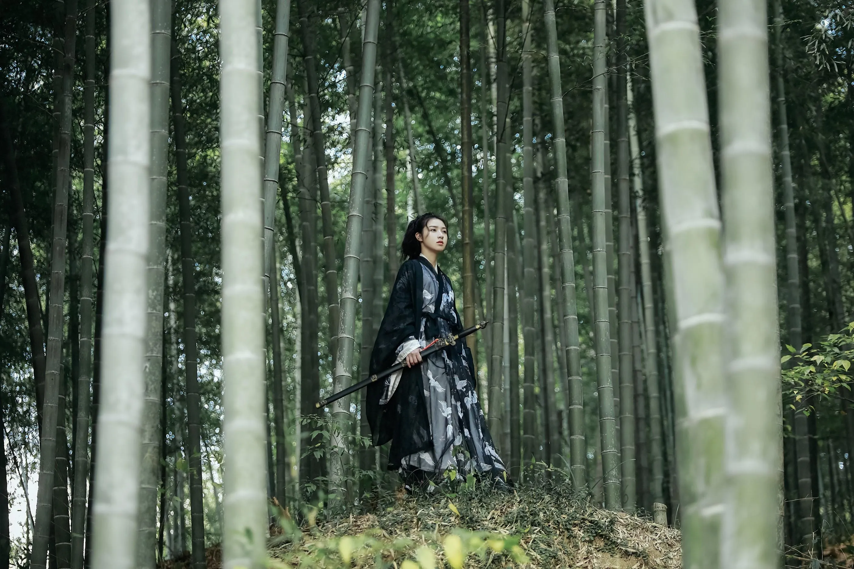 [艺图语] 2022.05.14 逍遥游 苏苏 [22P]插图3